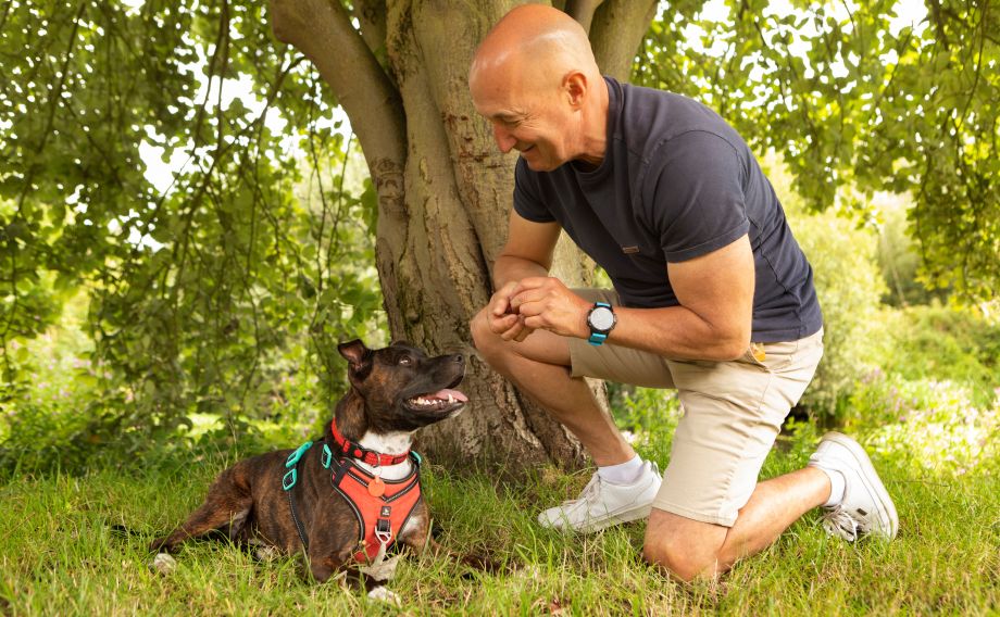 Man kneeling down with a dog under a tree in the park
